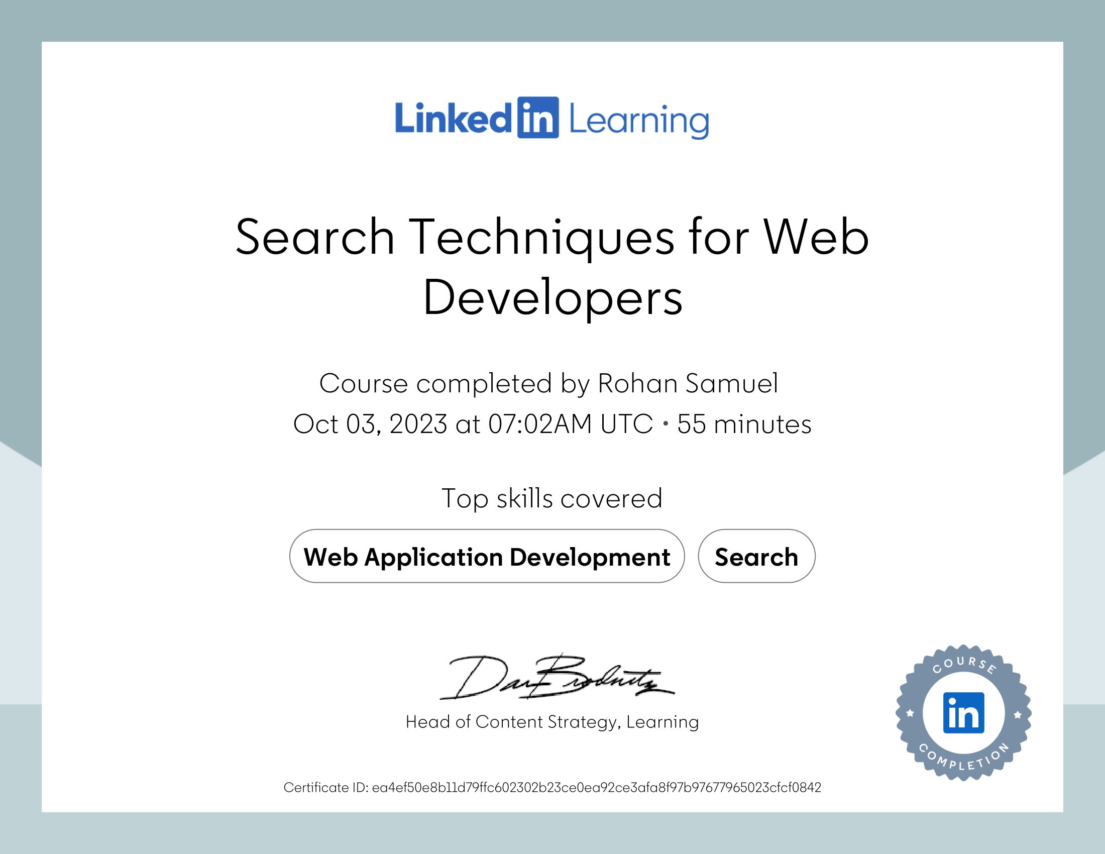 Search Techniques for Web Developers